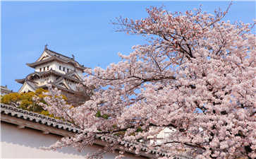 日語動漫名字