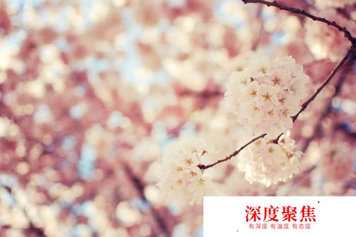 要不要吧！日語干貨都在這里了！