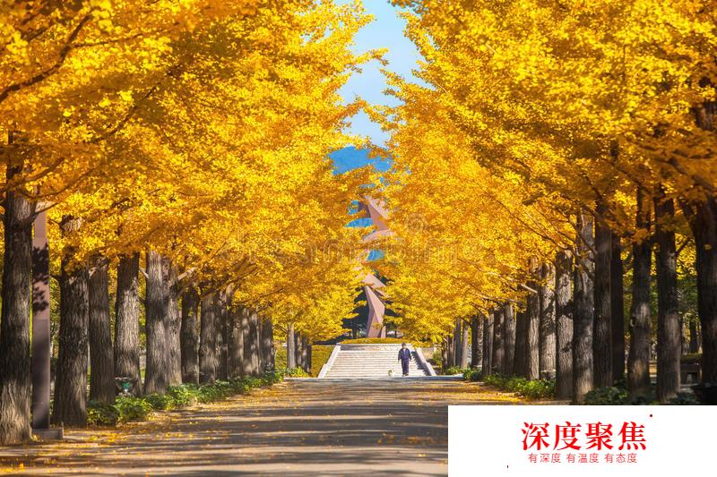 日語也能如此唯美！有關秋天的日語詞匯有哪些？