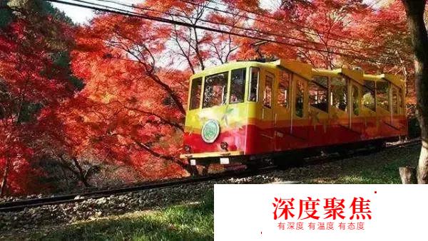 日語也能如此唯美！有關秋天的日語詞匯有哪些？