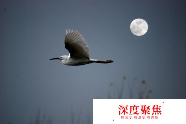 日語也能如此唯美！有關秋天的日語詞匯有哪些？