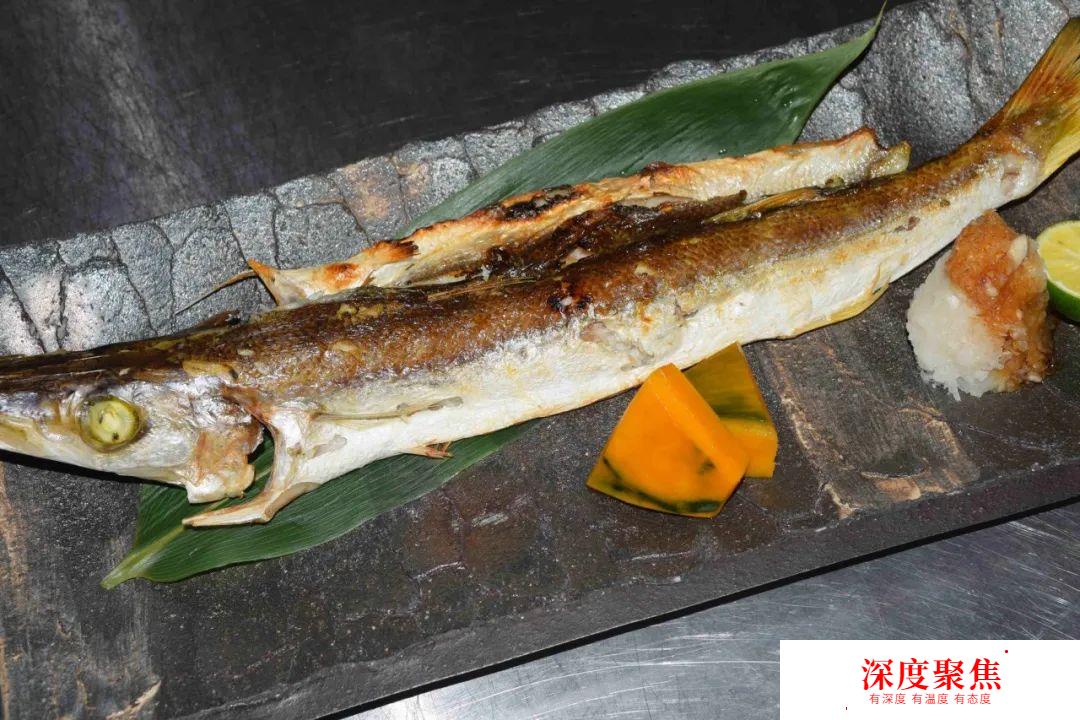 日本人為啥不讓媳婦吃秋梭子魚？