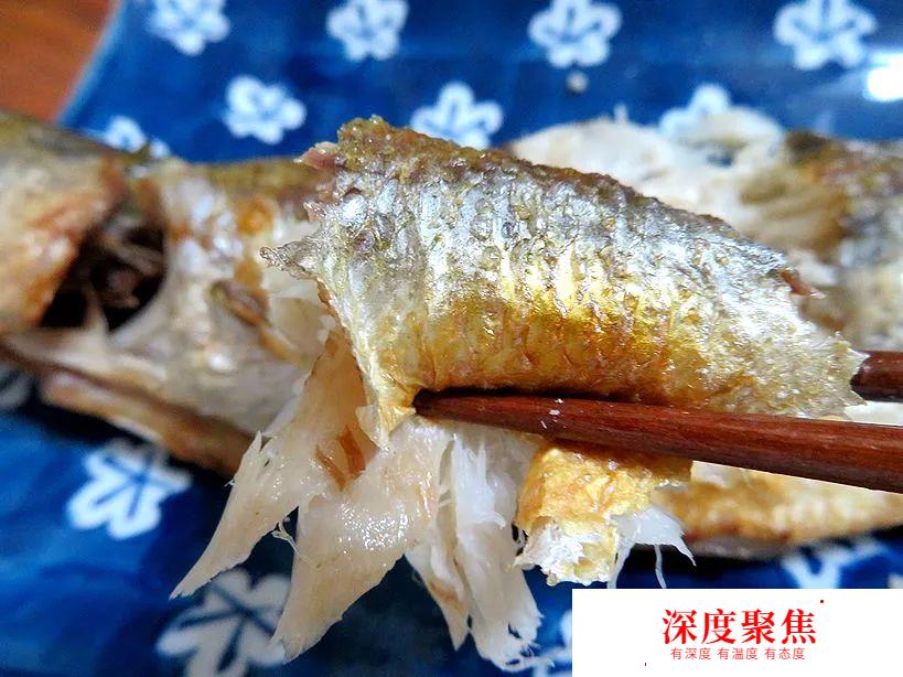 日本人為啥不讓媳婦吃秋梭子魚？