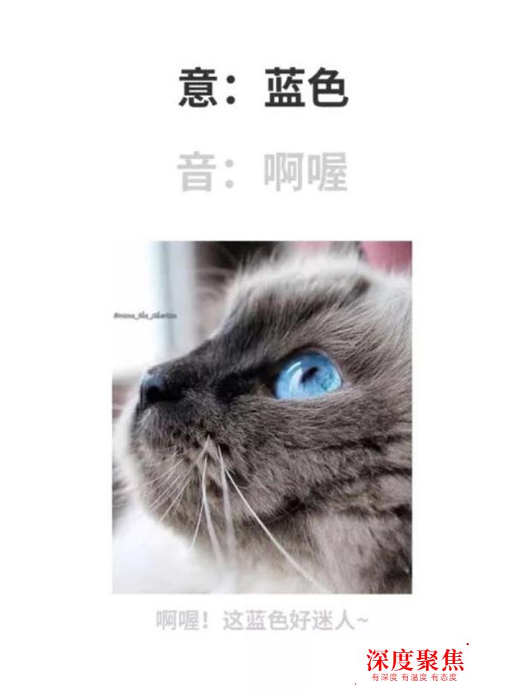 說出來你可能不信，這些日語單詞你也會讀！一起來試試