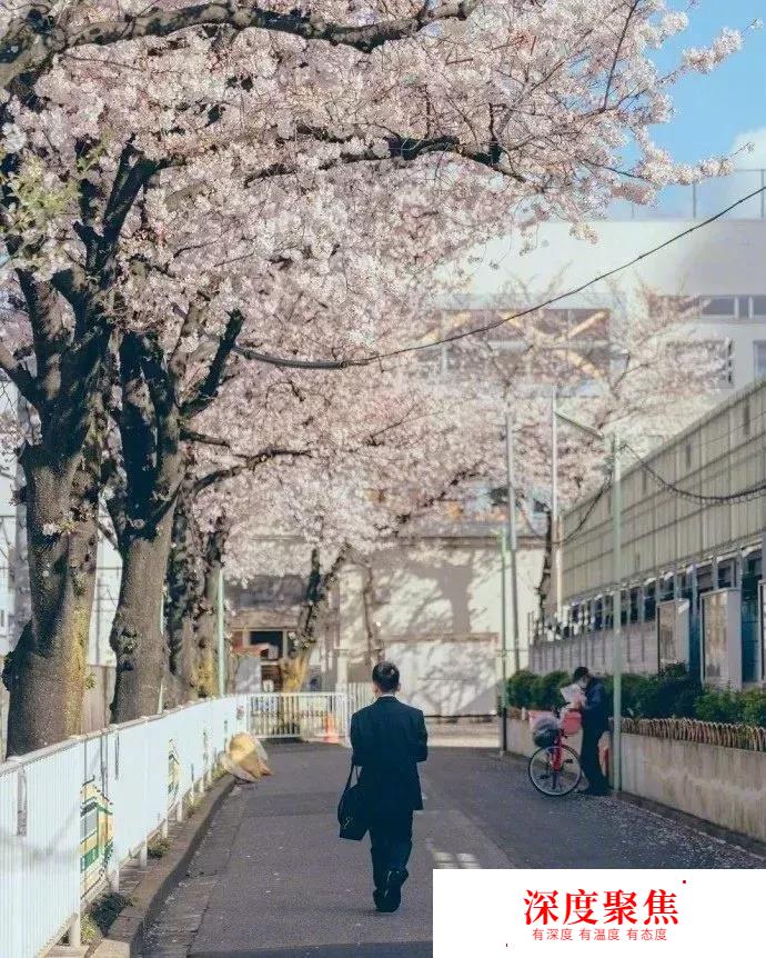日語中如何使用同一組假名表示的不同漢字~