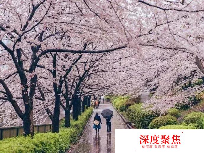 日語中如何使用同一組假名表示的不同漢字~