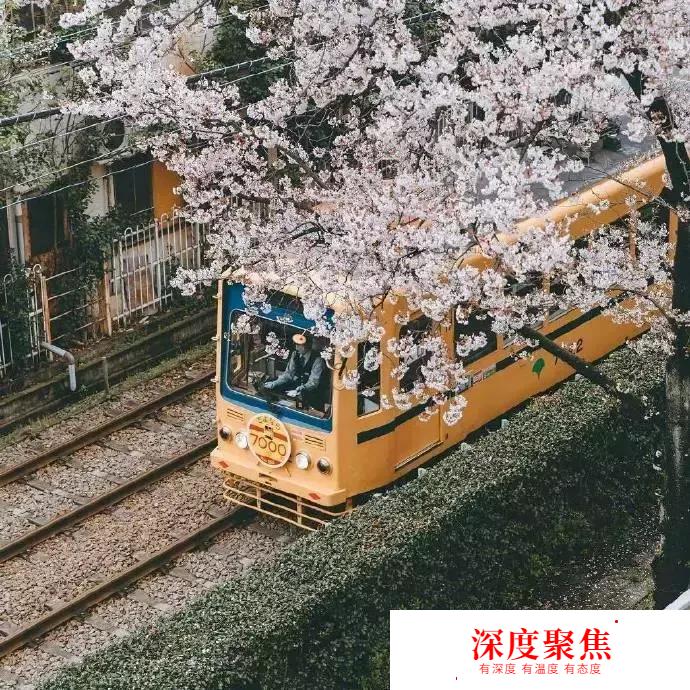 日語中如何使用同一組假名表示的不同漢字~