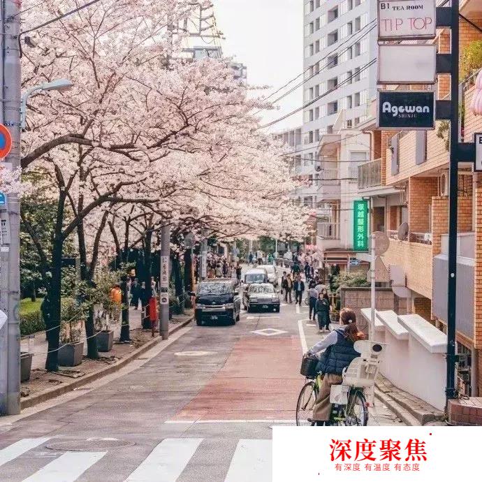 日語中如何使用同一組假名表示的不同漢字~