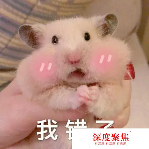 和日本妹子結婚要花多少錢？