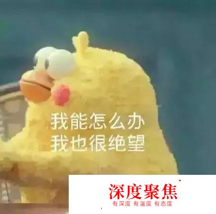 日語越學越難？或許你正走向學習誤區