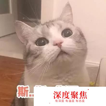 日語越學越難？或許你正走向學習誤區