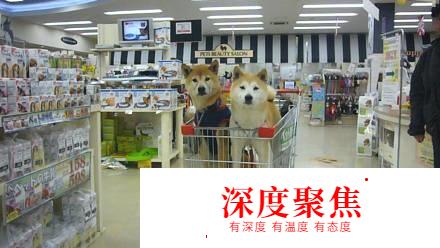 日本留學如何省錢？超有用！看了絕對賺了，大家拿出小本本記起來
