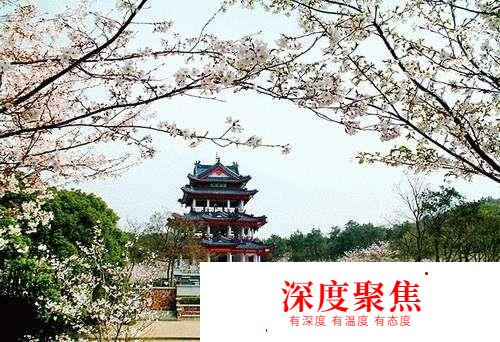 ISI日本語學校怎么樣？
