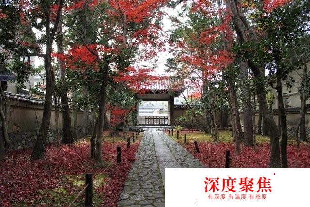 日本京都玩轉嵯峨?嵐山旅游入門篇 |日本關西走起