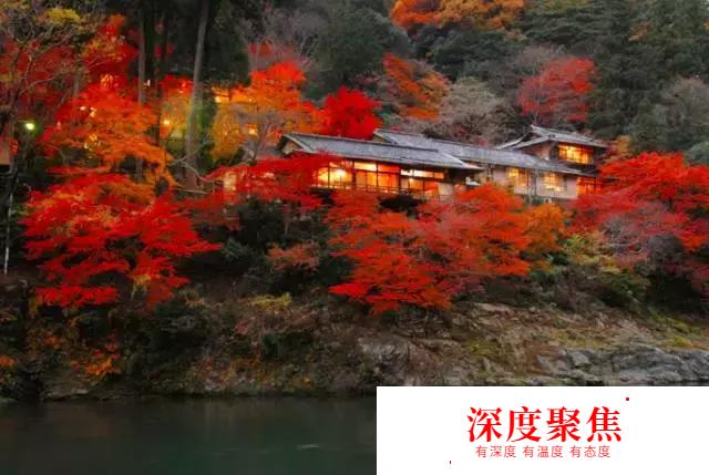 日本20家星野度假酒店，讓你享受高品質生活