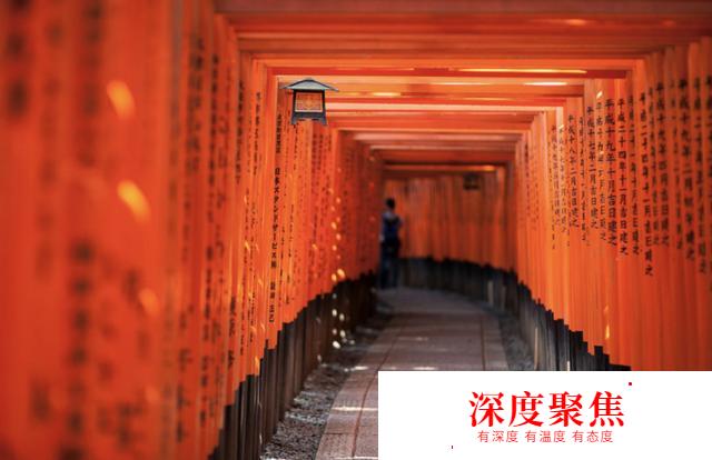 日本深度游丨關西6天5晚親子游