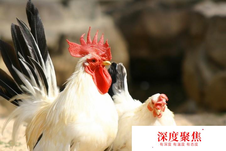 這些日文漢字意思跟你想像的完全不一樣，你曉得幾個？
