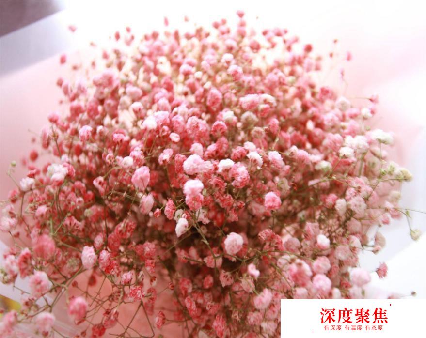 獻給愛花的你！這些花語用日語怎么說？