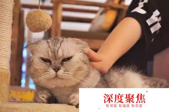 掏心掏肺的日語50音速記法—平假名篇
