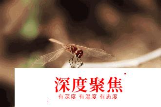 朝顏、神無月，這些日語中的唯美漢字是什么意思？