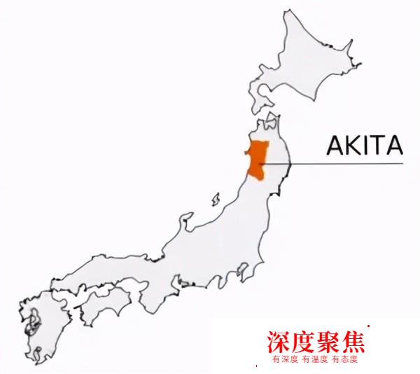 日本留學名校介紹：國際教養大學