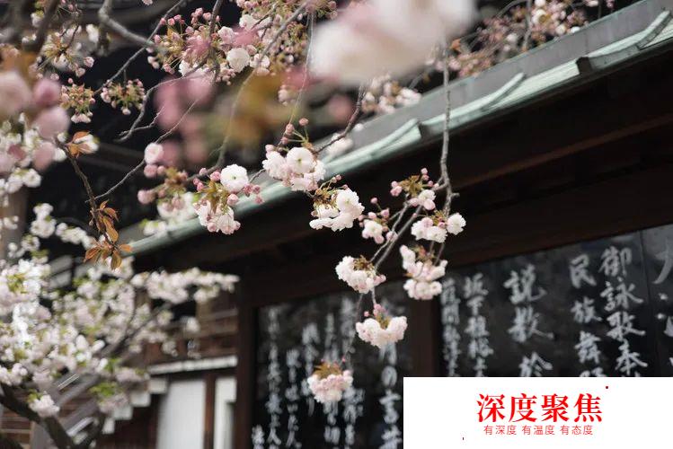 高中生去日本留學，應該如何規劃？