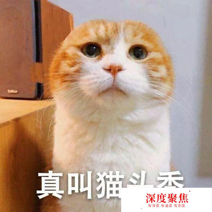 經驗｜學完50音后，怎么進階學習呢？
