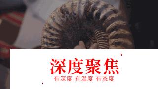 日本人拍出的愛情片，永遠在刷新我的認知，黃暴感撲面而來！