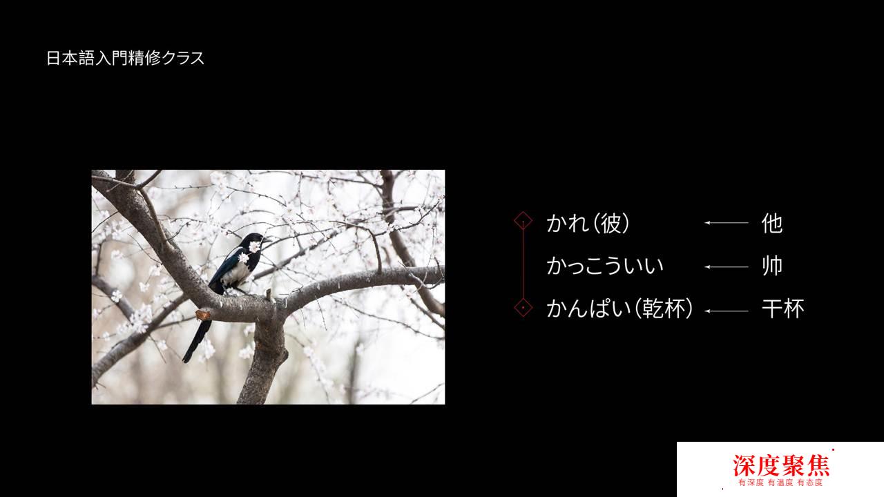日語五十音圖ka行