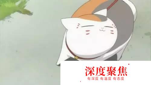 有趣又實用！和“貓咪”有關的那些日語慣用語