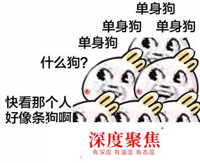 日本大學生：我不是針對誰，我是說不這么過暑假的人都是辣雞