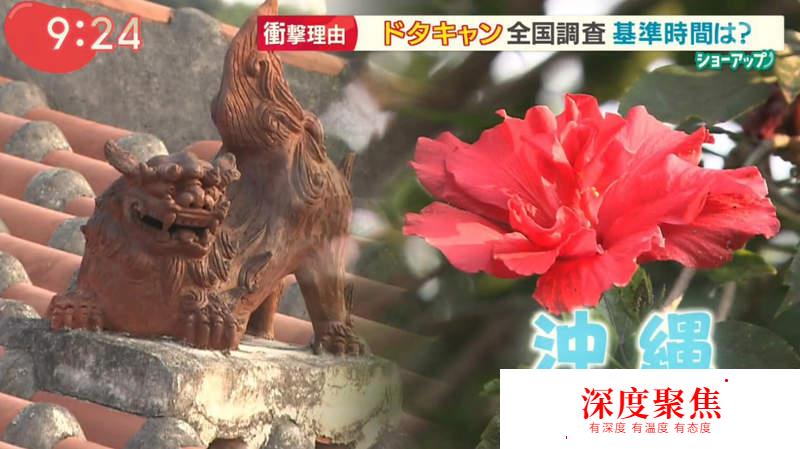 日本人“放鴿子忍受度”大調查！最寬容的竟然是沖繩人？